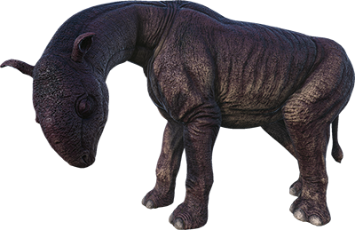 Paraceratherium