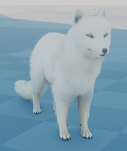 Arctic Fox