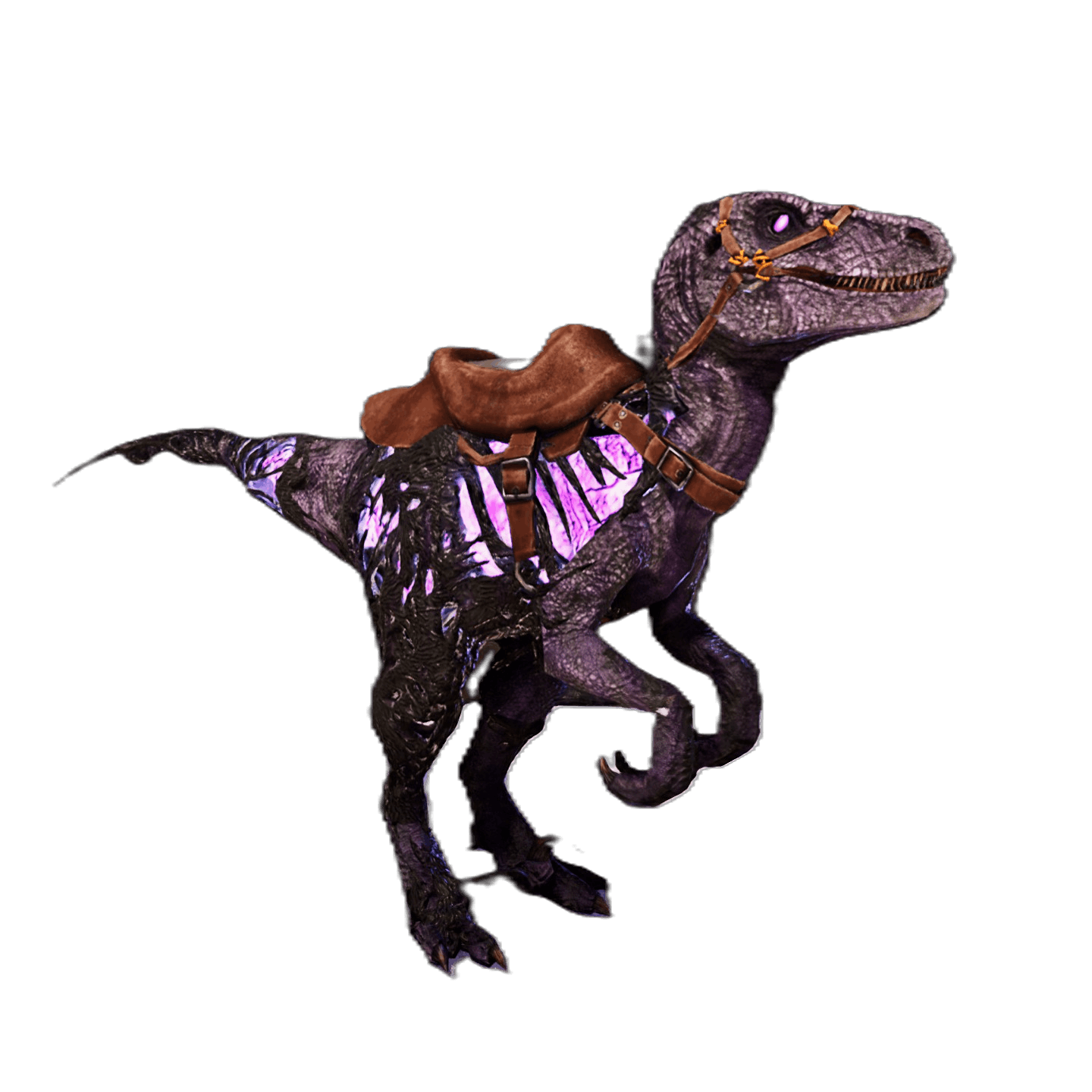Corrupted Raptor