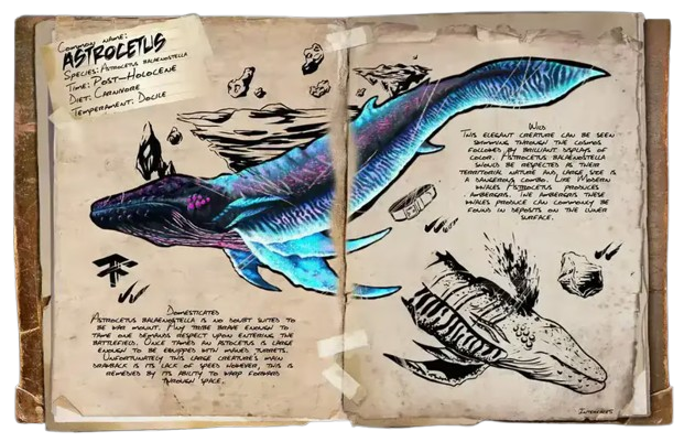 Astrocetus