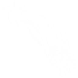 Tusoteuthis Pack