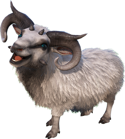 Ovis