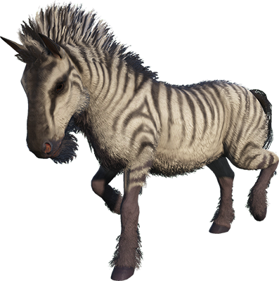 Equus