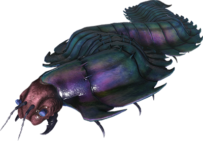 Arthropluera