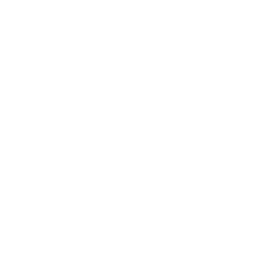 Megalosaurus Pack