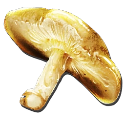 Auric Mushroom