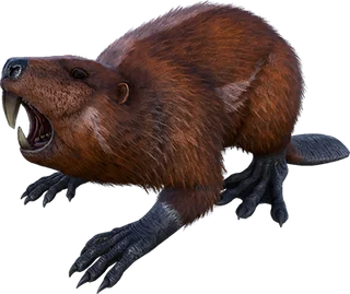 Castoroides