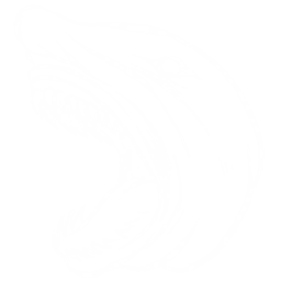 Megalodon Pack
