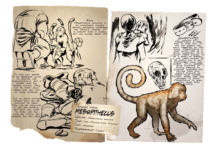 Mesopithecus